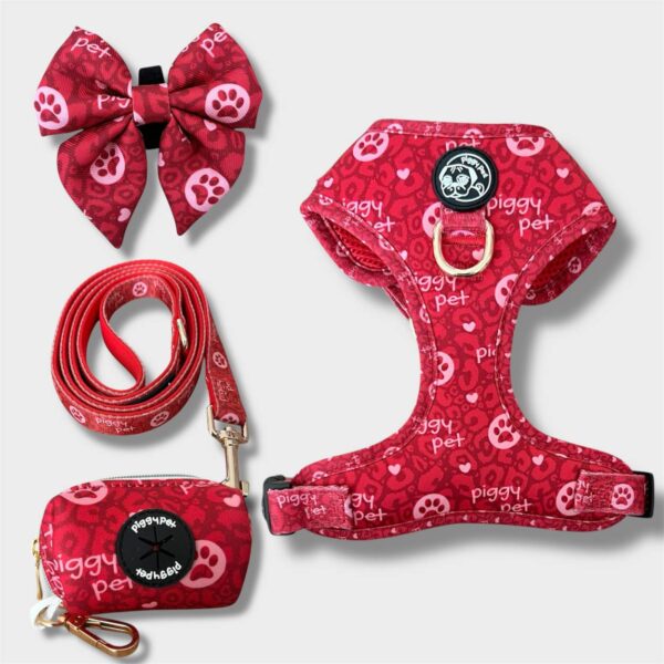 Set Monogram Rouge