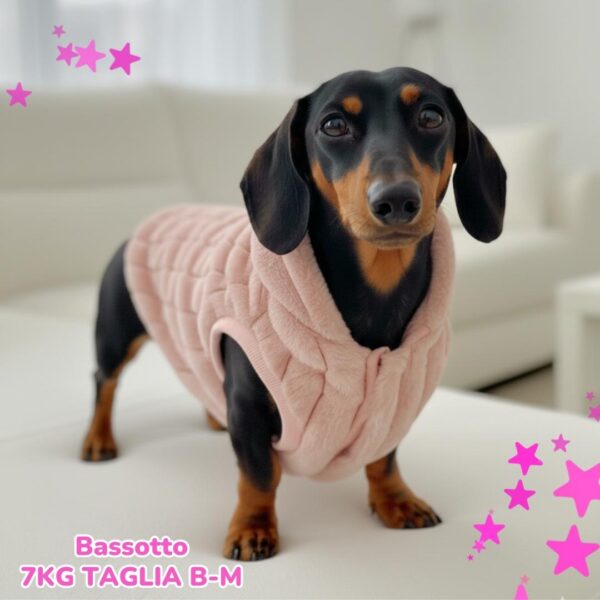 #PIGGYPETNEWCOLLECTION (Post Instagram) (12)