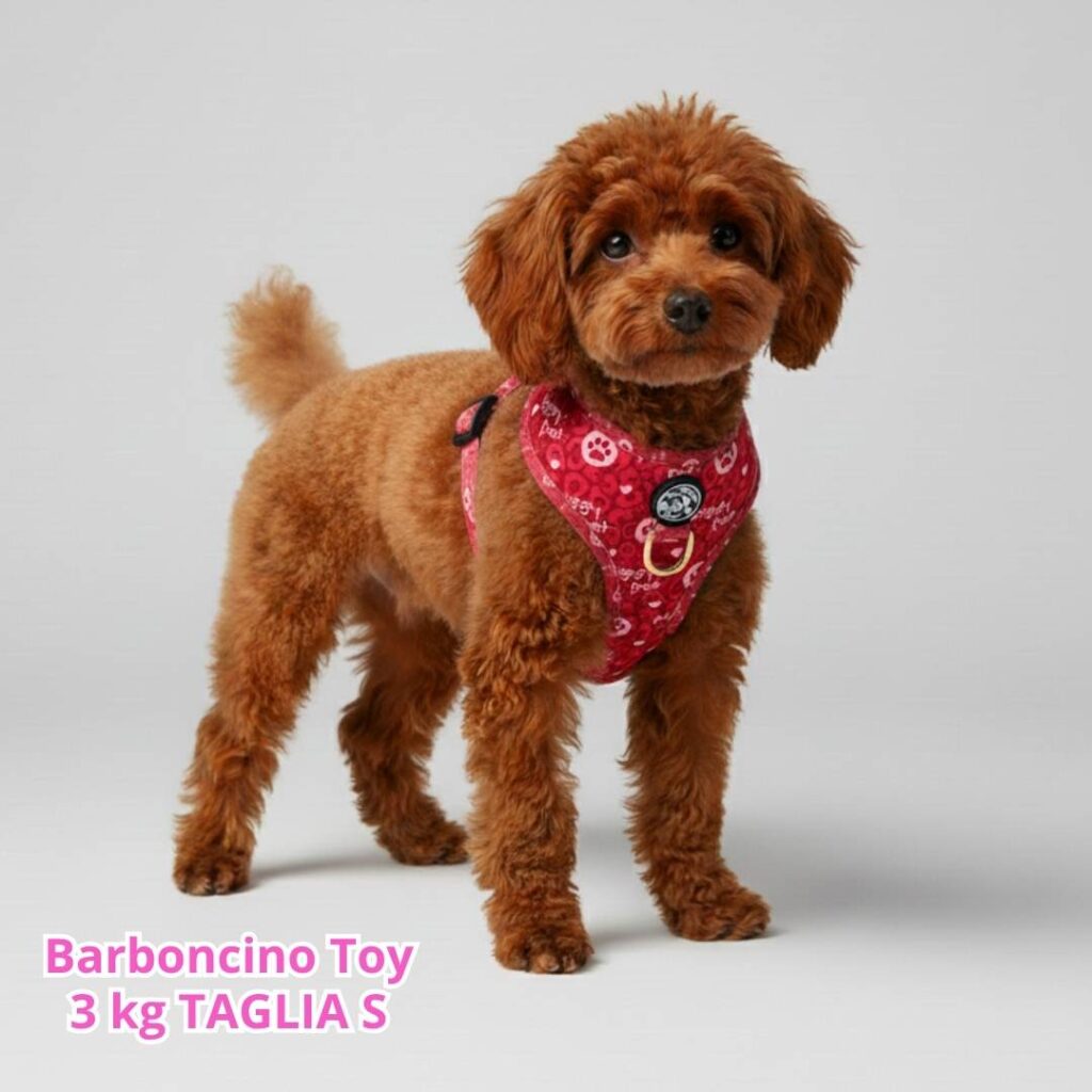 Pettorina ad H Morbida Monogram Rouge