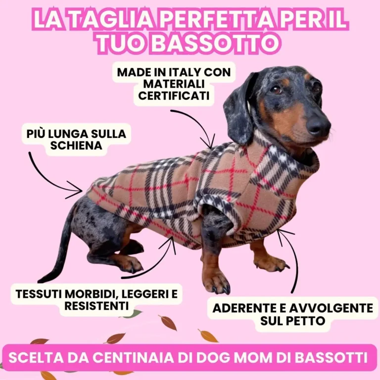 Bassotto con abbigliamento Piggy Pet