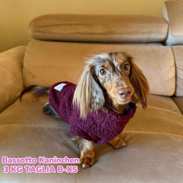 Maglione Bouclè - Bordeaux Maglione Bouclè - Bordeaux