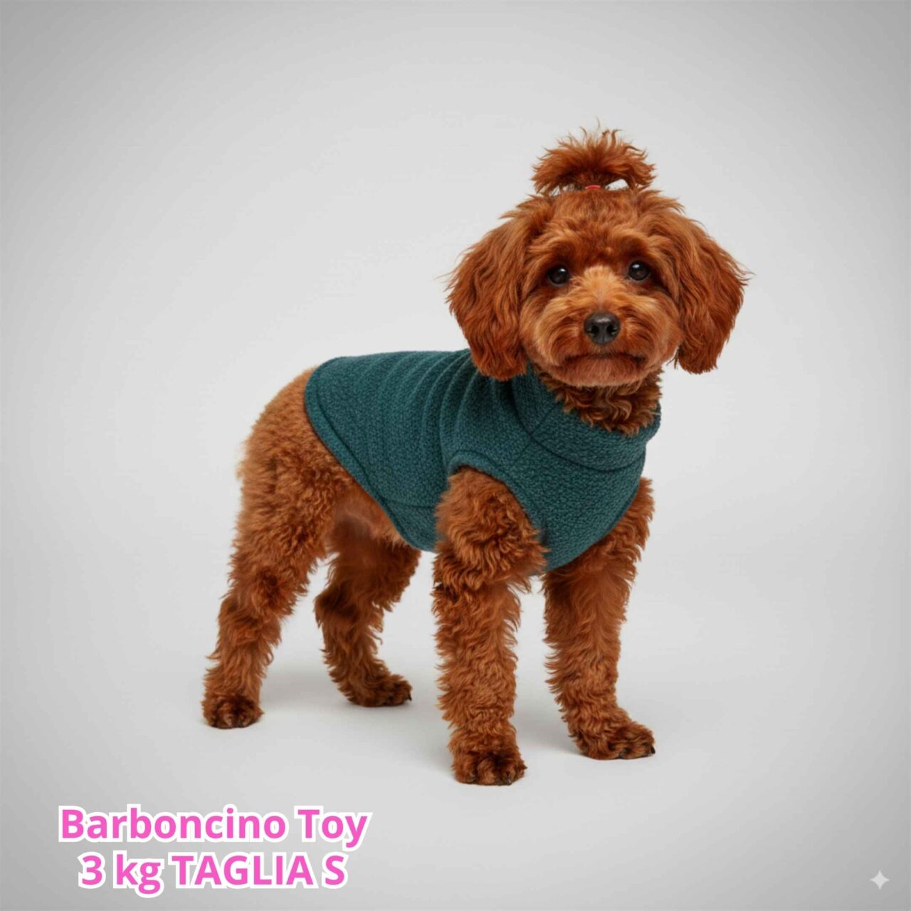 Maglione Bouclè - Petrolio