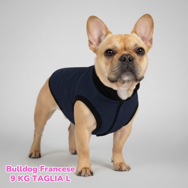 Cappottino Invernale Impermeabile Blu