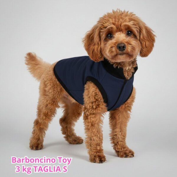 Cappottino Invernale Impermeabile Blu