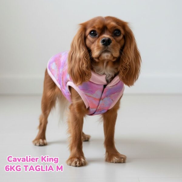 Cappottino Invernale Impermeabile Marmo Rosa Cappottino Invernale Impermeabile Marmo Rosa