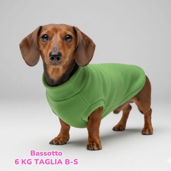 Pile Verde Prato BXS