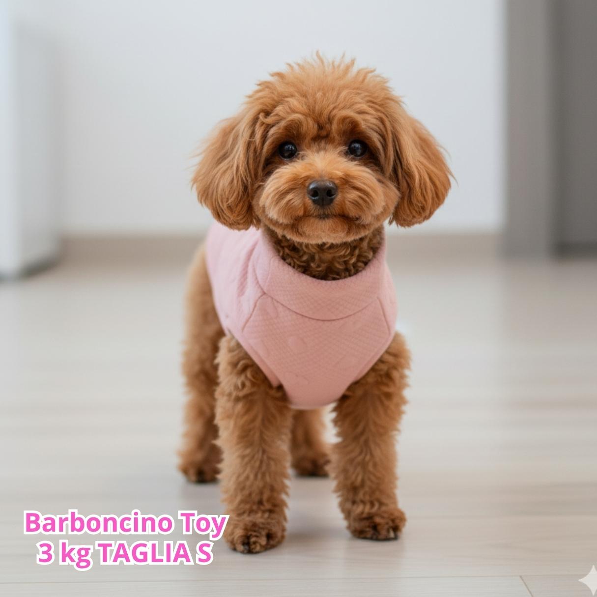 Maglione a Cuoricini Rosa