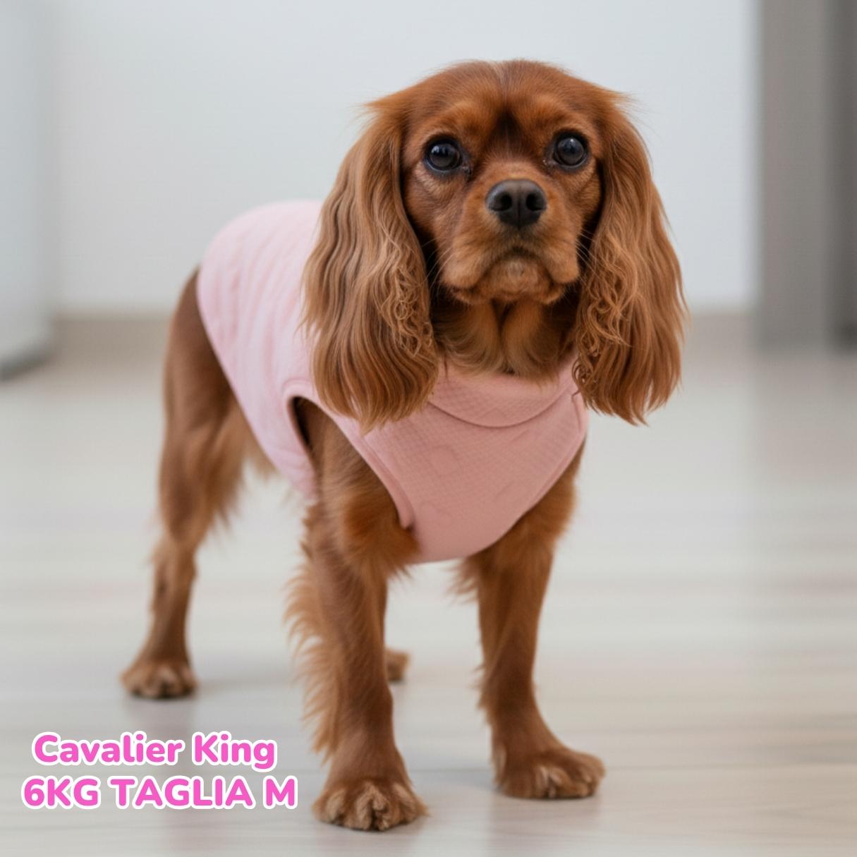Maglione a Cuoricini Rosa