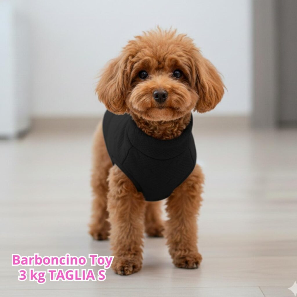 Maglione a Cuoricini Nero