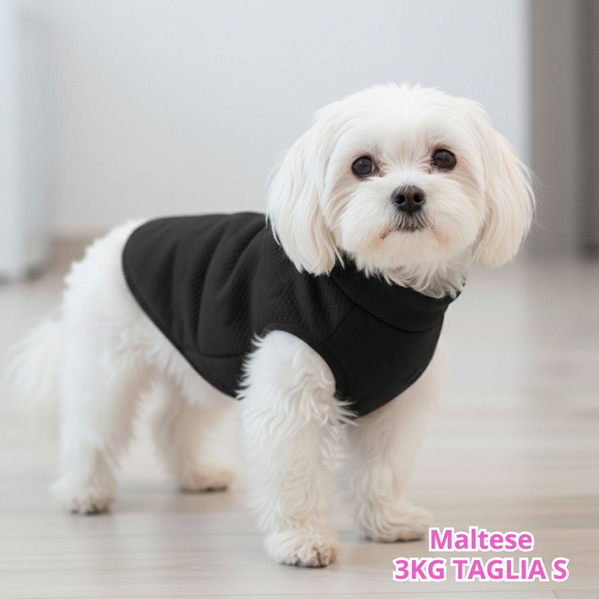 Maglione a Cuoricini Nero