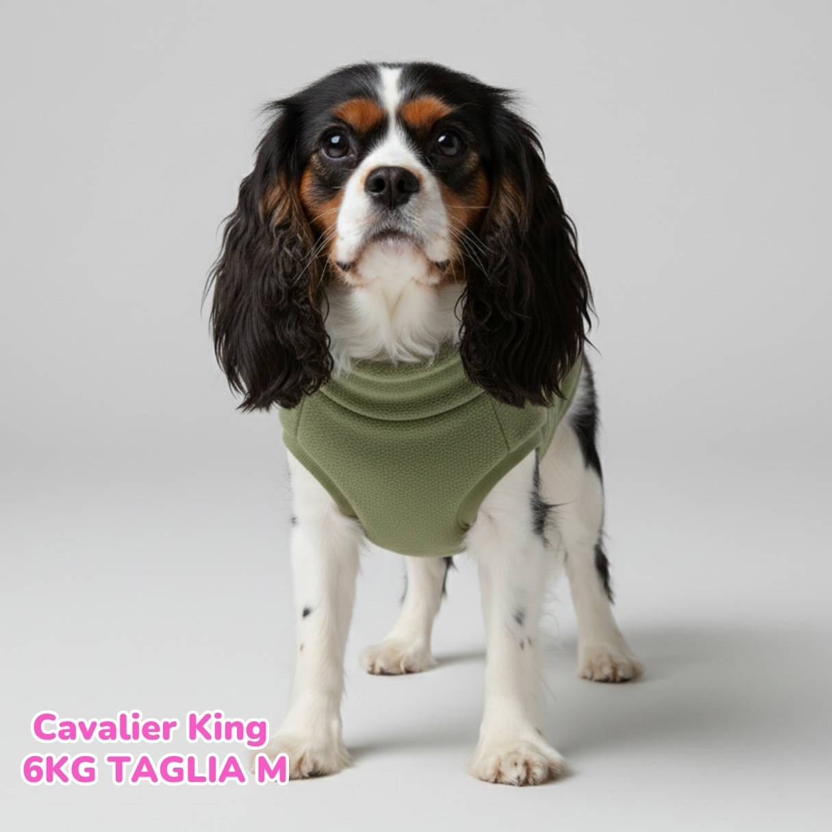 Pigiama Ciniglia Cotone - Verde