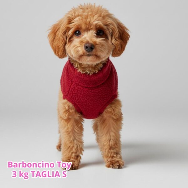 Maglione Bouclè - Rosso FM