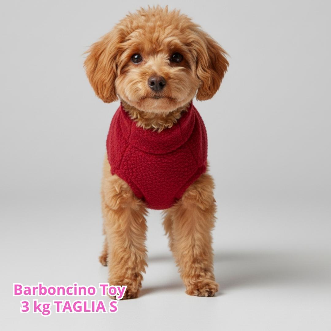 Maglione Bouclè - Rosso