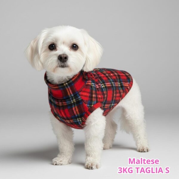 Pile Scozzese Rosso e Blu