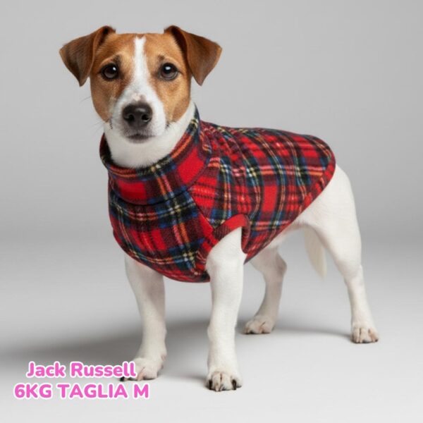 Pile Scozzese Rosso e Blu