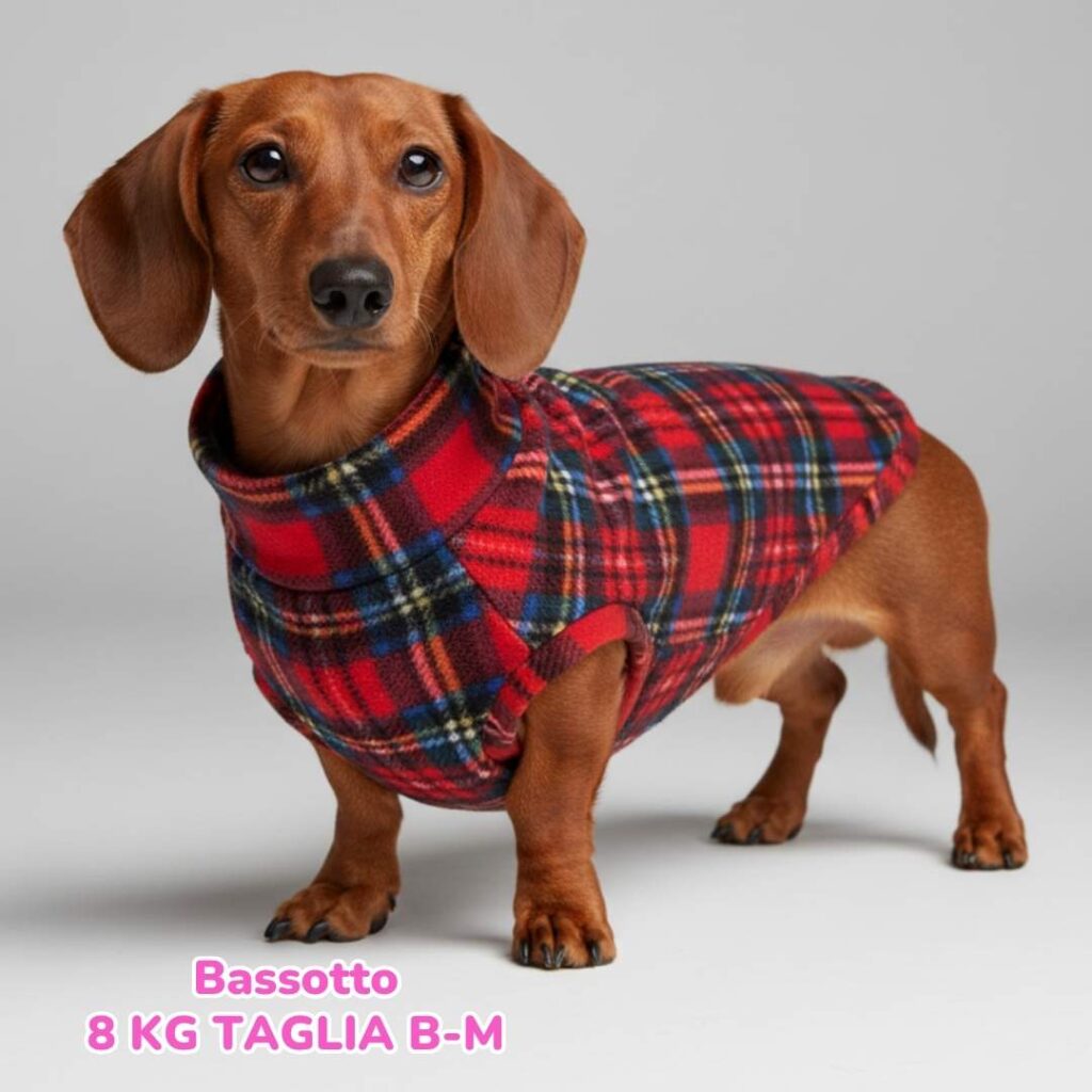 Pile Scozzese Rosso e Blu