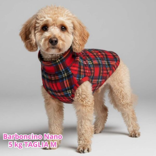 Pile Scozzese Rosso e Blu