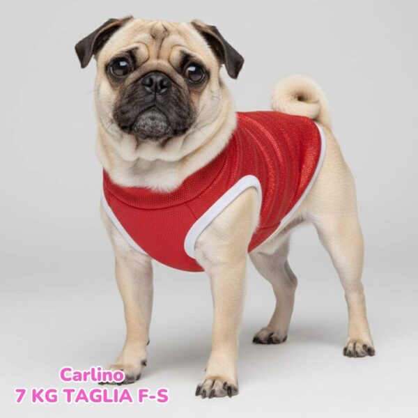 Pile Pelliccia Shine BS