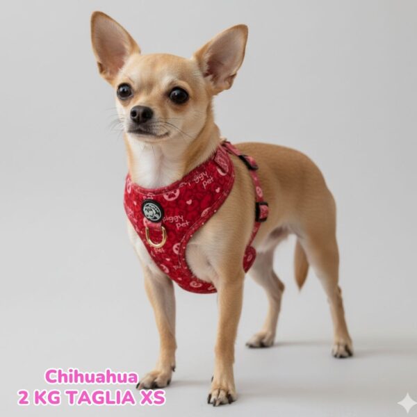 Pettorina ad H Morbida Monogram Rouge