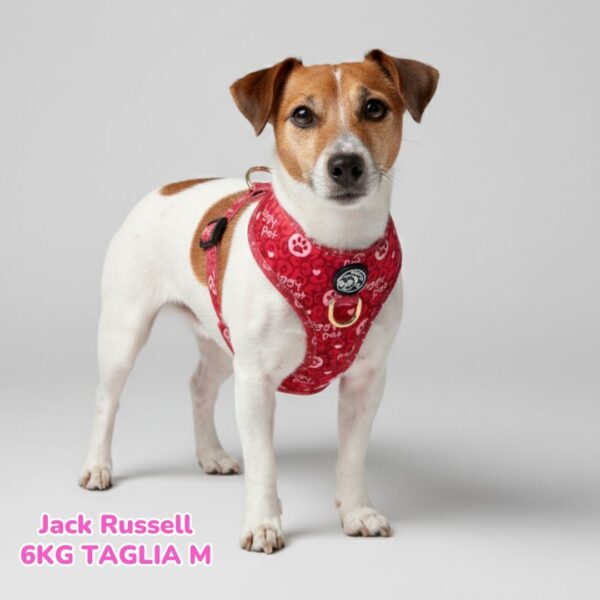 Pettorina ad H Morbida Monogram Rouge