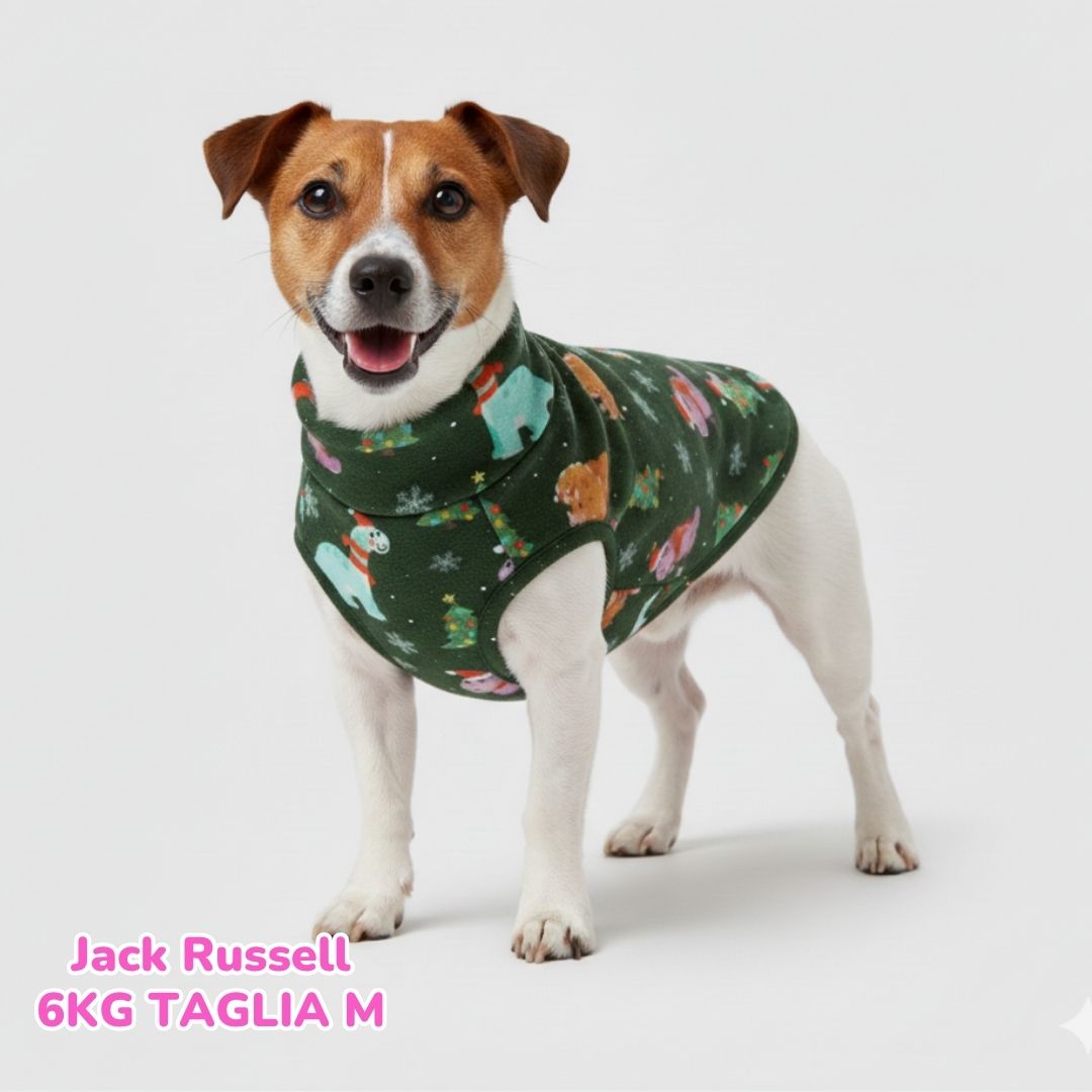 Felpa Christmas Dino