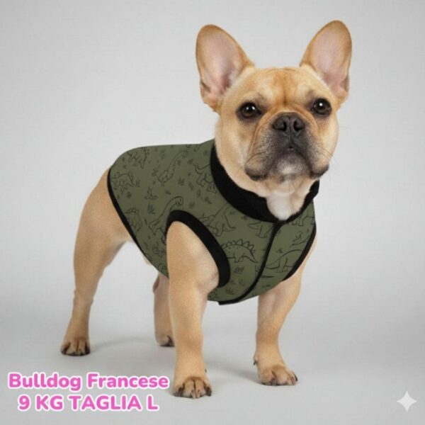 Cappottino Invernale Impermeabile Dino Cappottino Invernale Impermeabile Dino