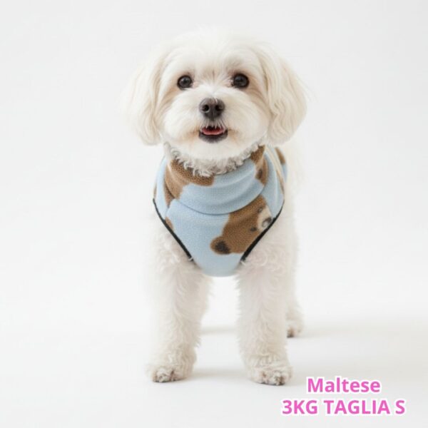 Pile Pelliccia Teddy Blu