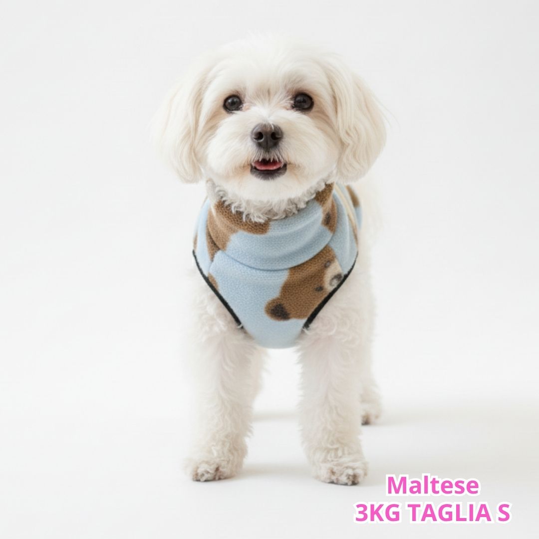 Pile Pelliccia Teddy Blu