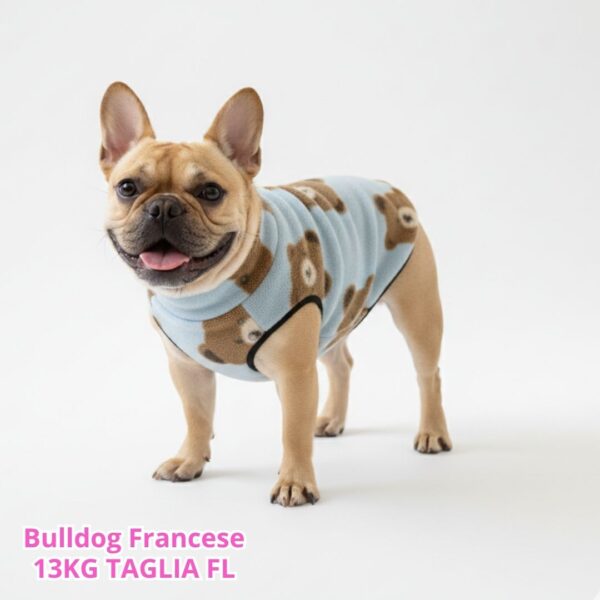 Pile Pelliccia Teddy Blu