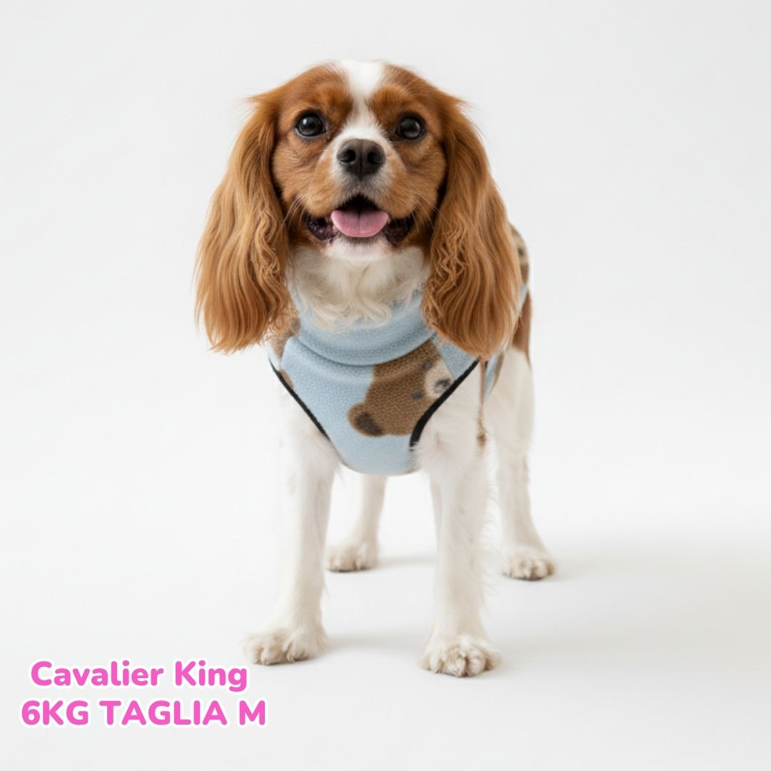 Pile Pelliccia Teddy Blu