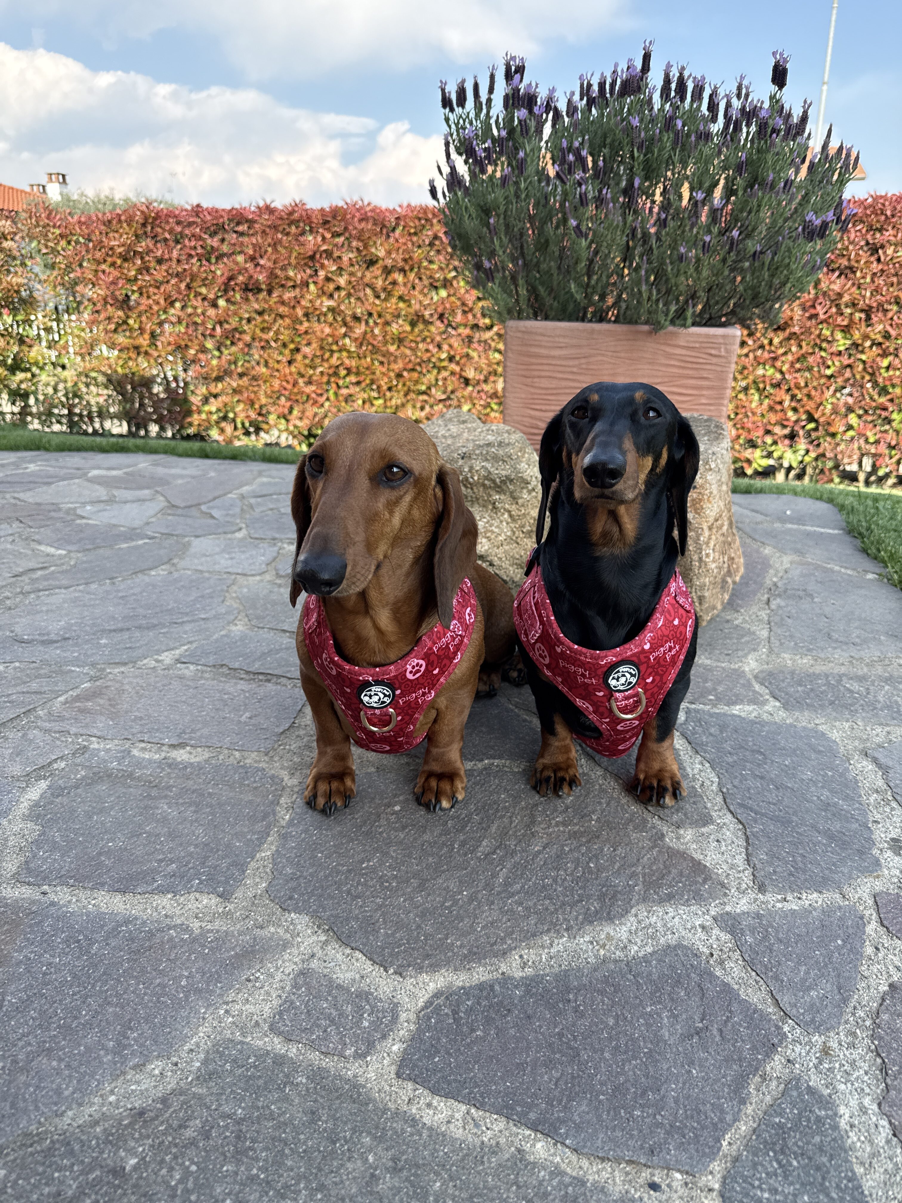 Foto recensione Marco Pozzo