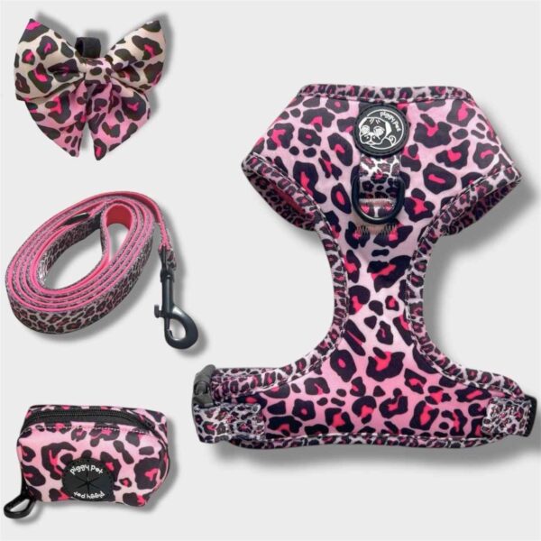 Set Pettorina ad H Morbida, Guinzaglio e Porta Sacchetti Pink Leopard