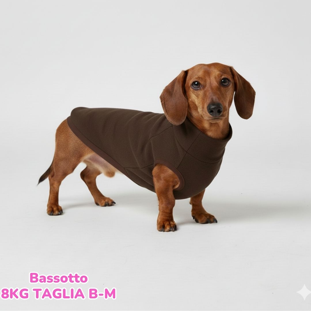 Felpa Invernale Garzata Marrone