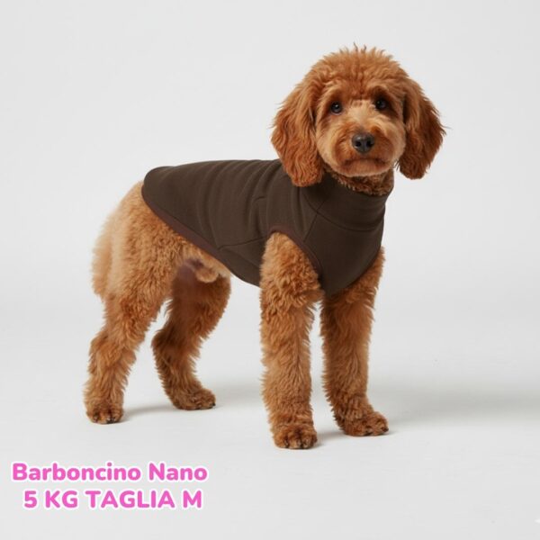 dorotea – 2025-11-01T202604.261