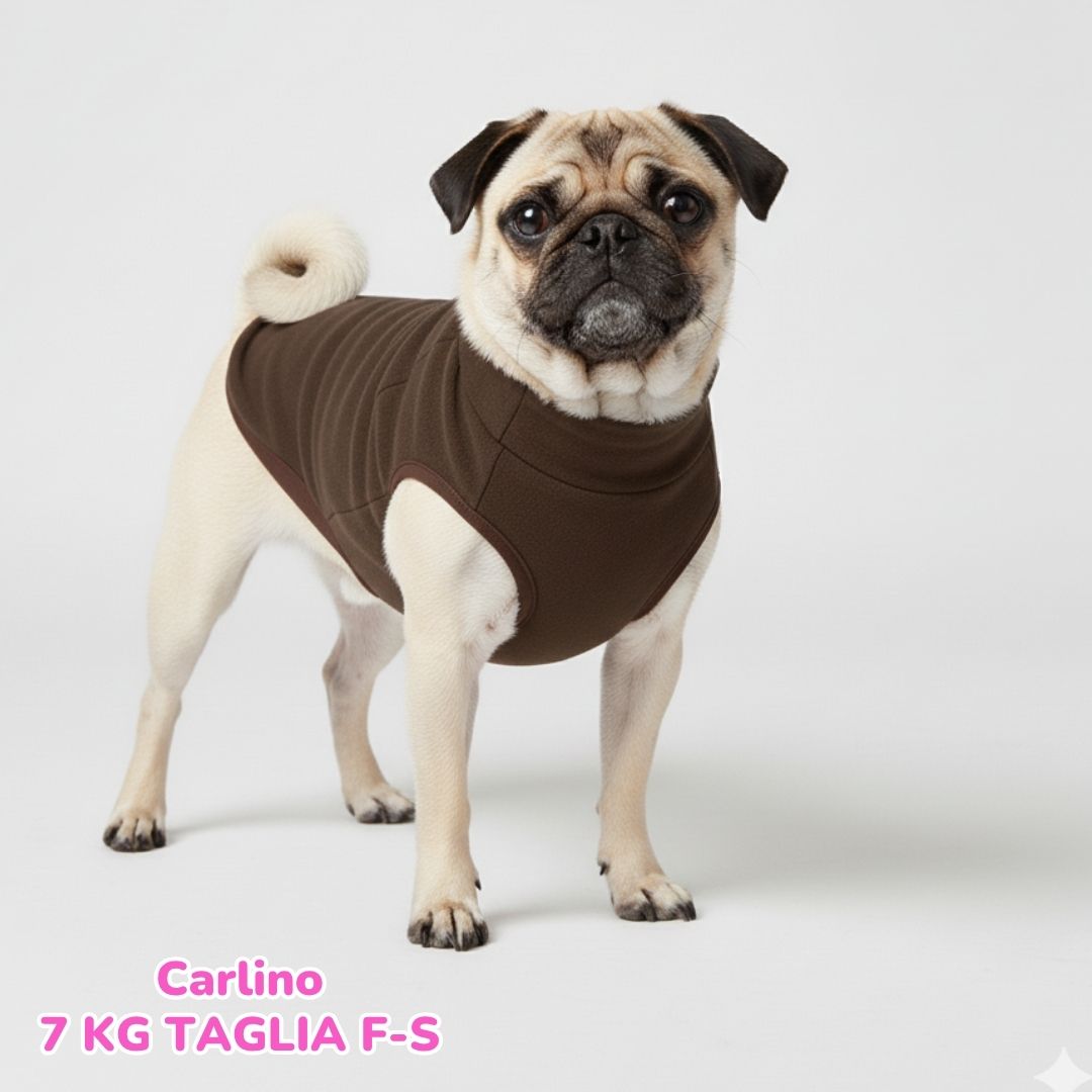 Felpa Invernale Garzata Marrone