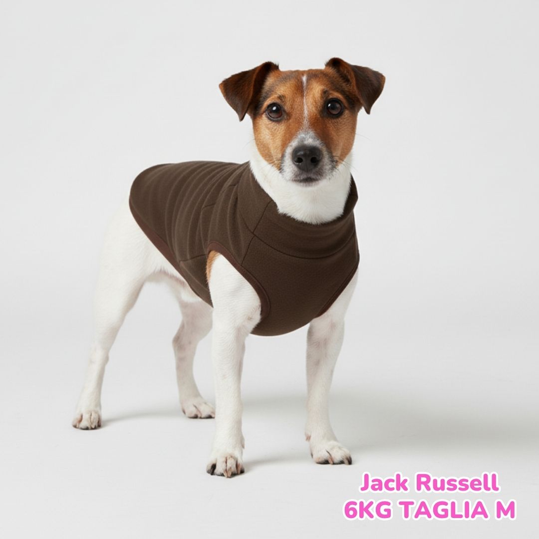 Felpa Invernale Garzata Marrone