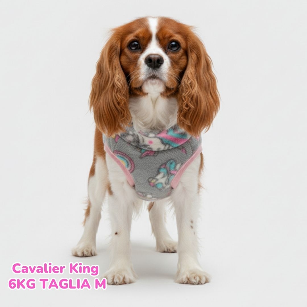 dorotea – 2025-11-02T153039.667