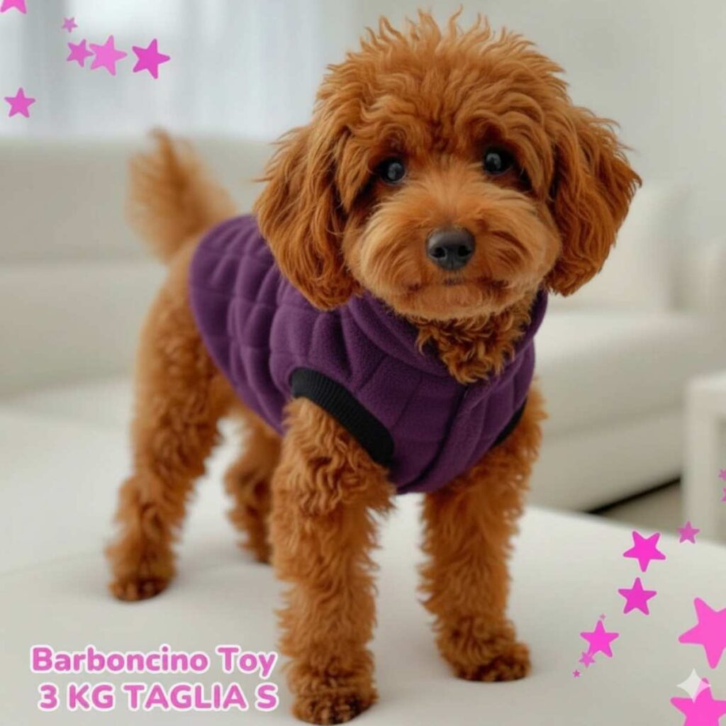 Pelliccia Cherie Violet