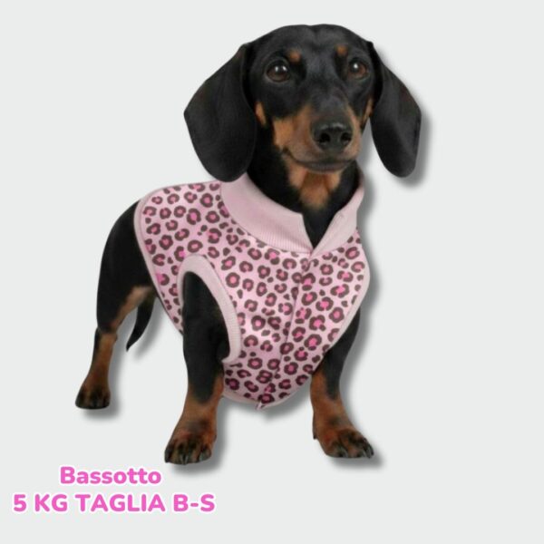 dorotea – 2025-11-07T200639.648