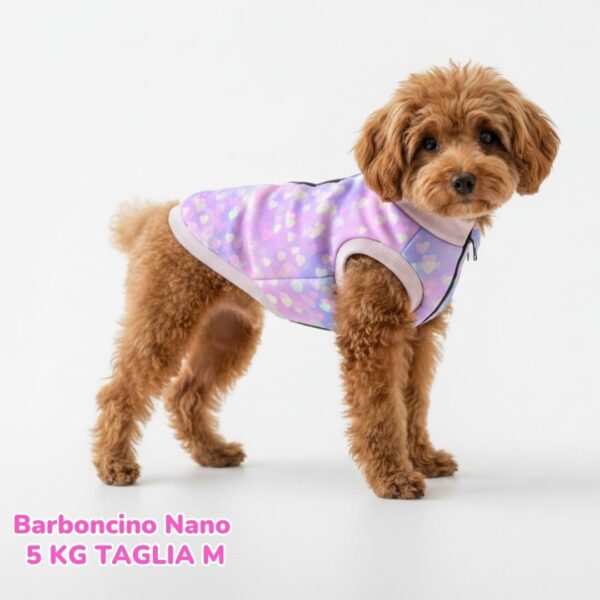 Cappottino Invernale Impermeabile Cuoricini