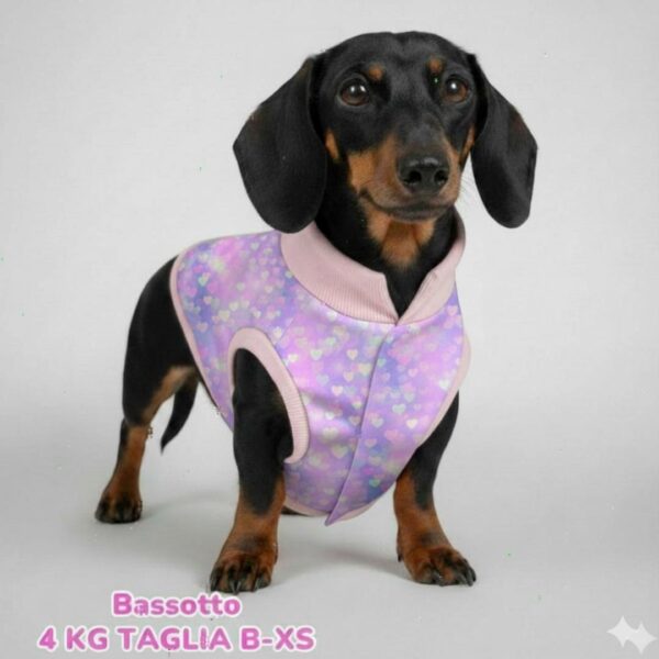 Cappottino Invernale Impermeabile Cuoricini