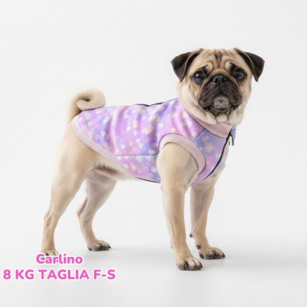 dorotea – 2025-11-07T201041.042