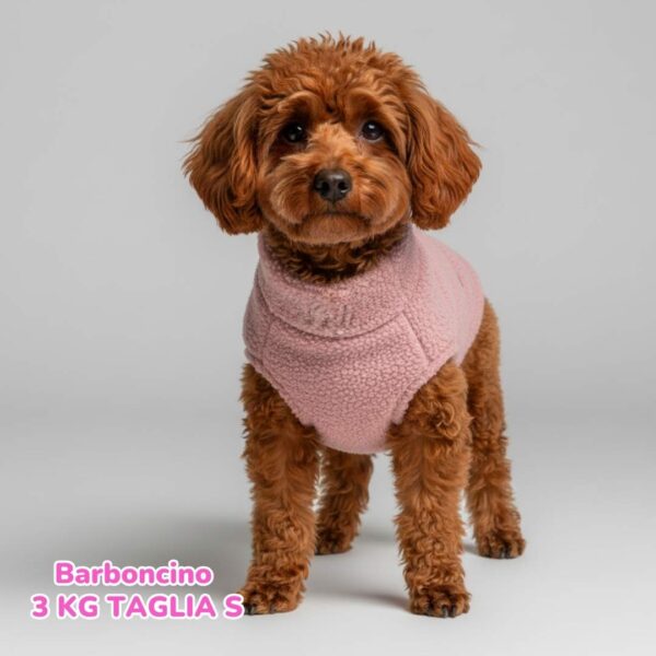 Teddy con Pile Interno Rosa