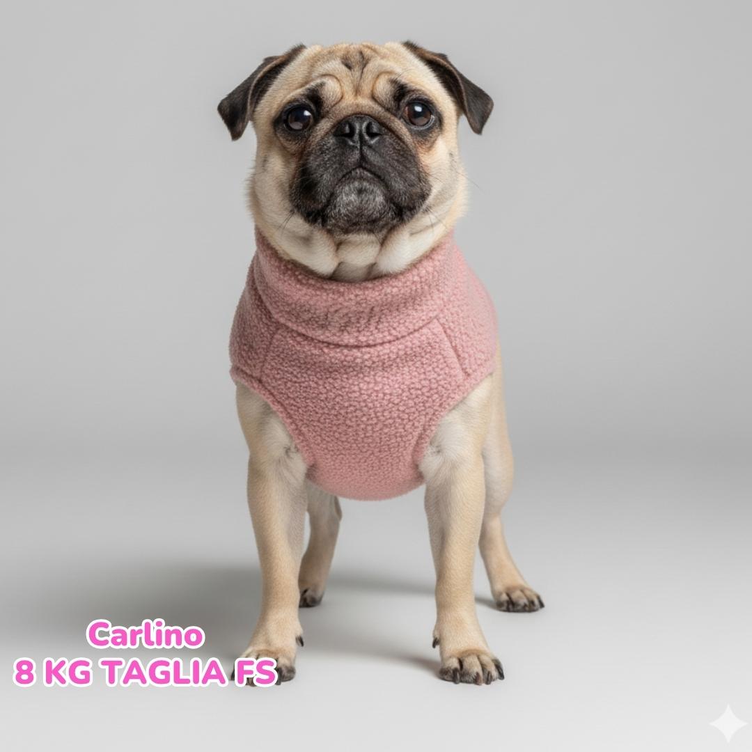 Teddy con Pile Interno Rosa