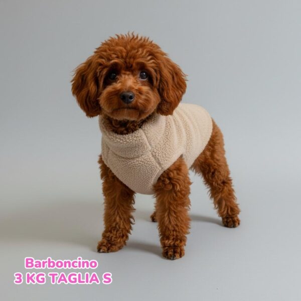 Teddy con Pile Interno Beige