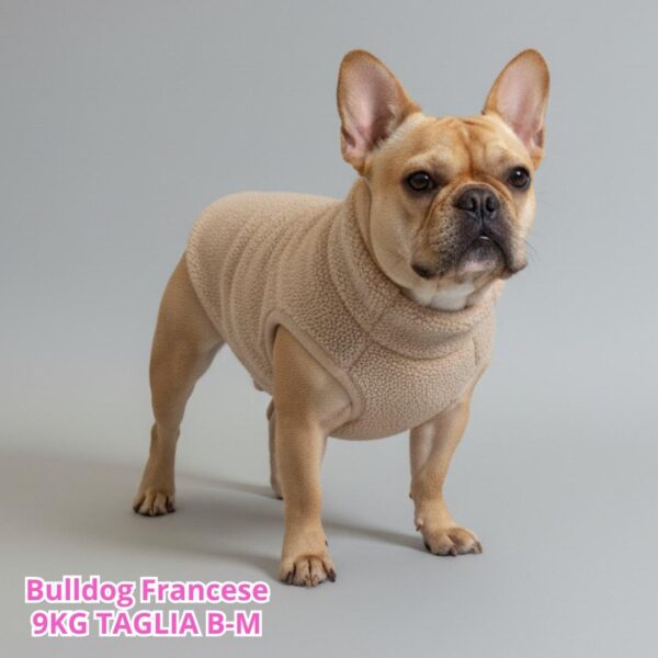 Teddy con Pile Interno Beige