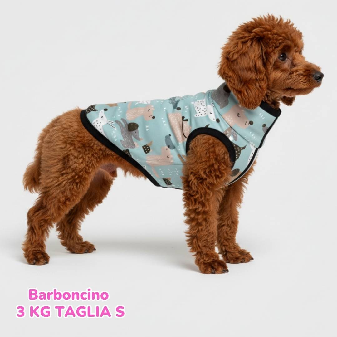 Giacca Impermeabile Cagnolini