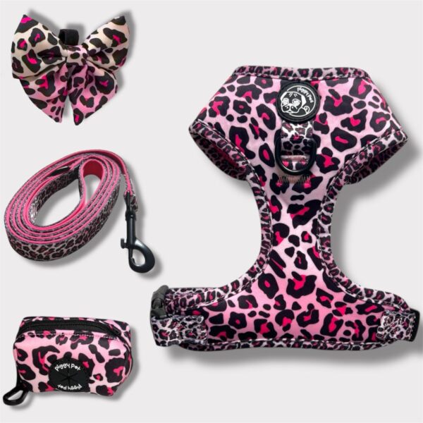 Set Pettorina ad H Regolabile, Guinzaglio e Porta Sacchetti Pink Leopard