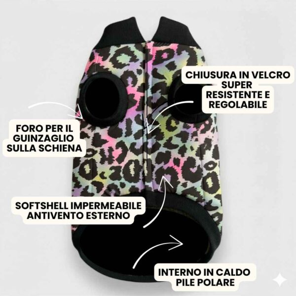 Beige and Green New Coats Instagram Post (42)