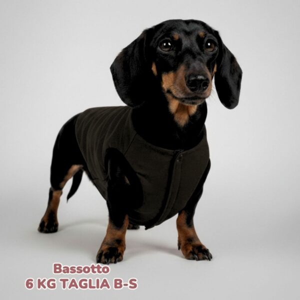 Cappottino Invernale Impermeabile Nero Cappottino Invernale Impermeabile Nero